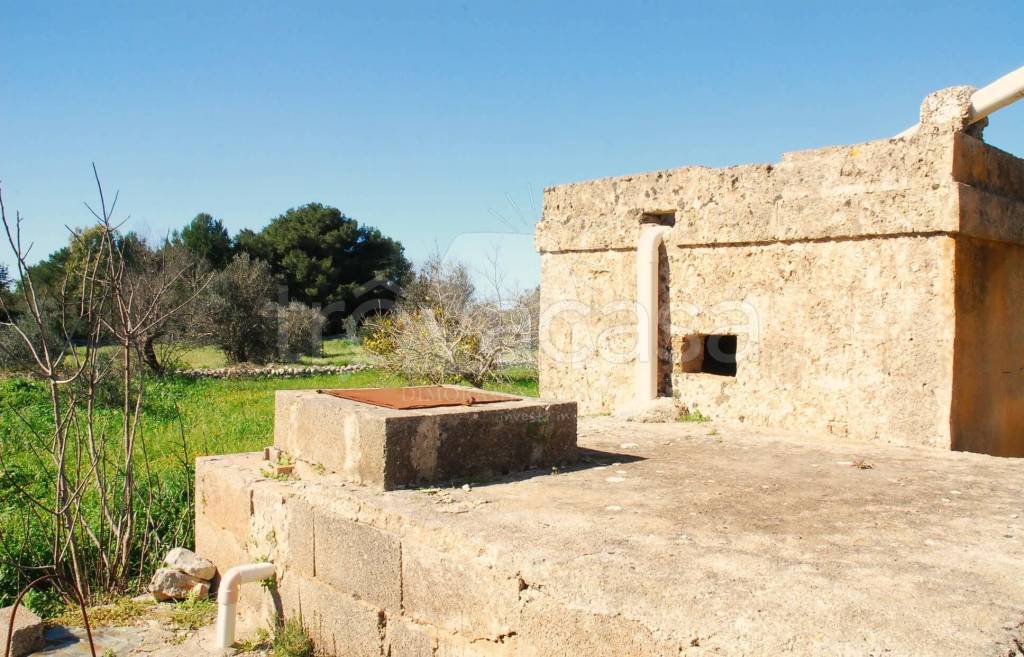 immagine annuncio 9 di 12