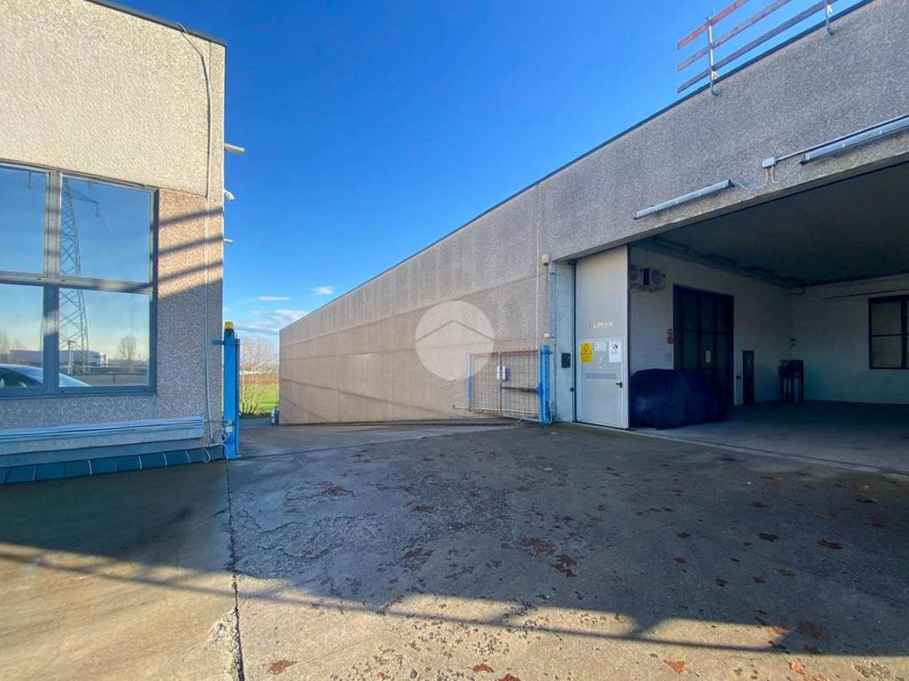 immagine annuncio 4 di 15