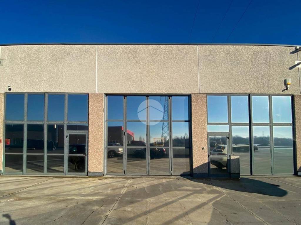 immagine annuncio 12 di 15