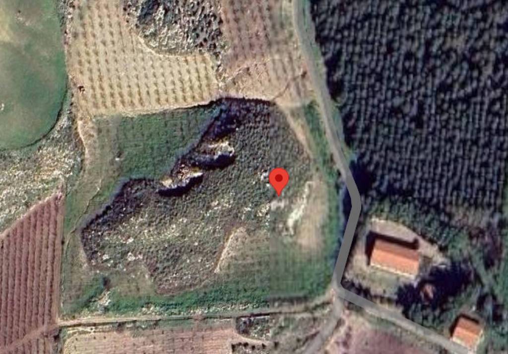 immagine annuncio 3 di 11