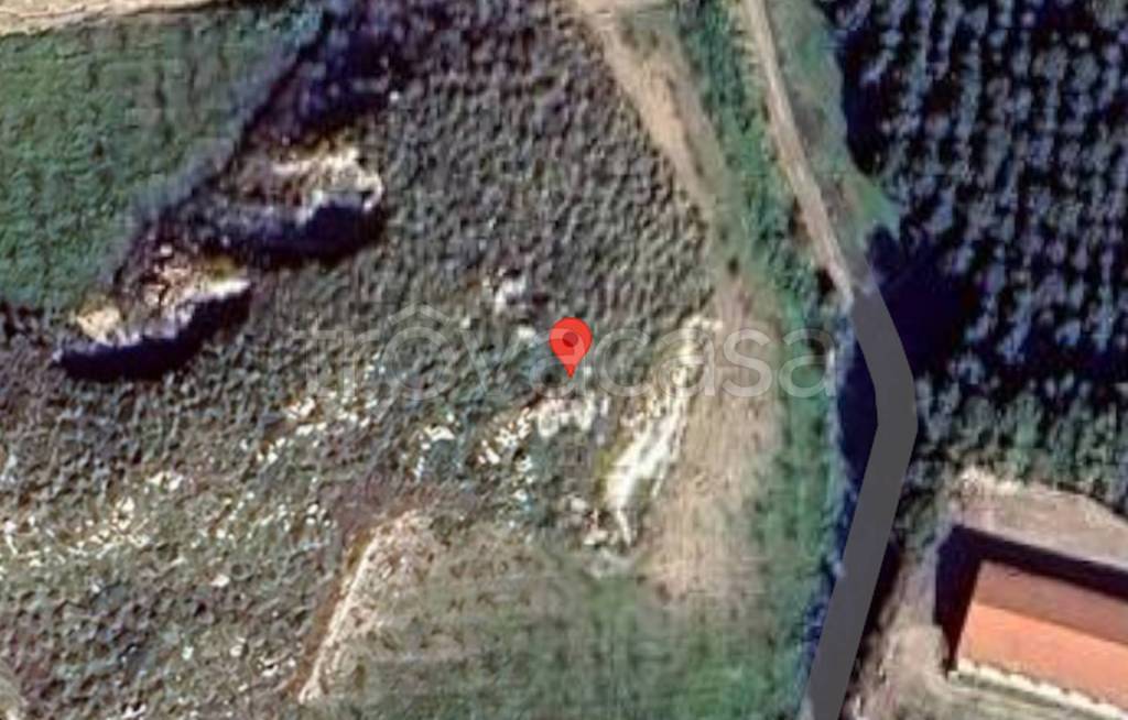 immagine annuncio 4 di 11