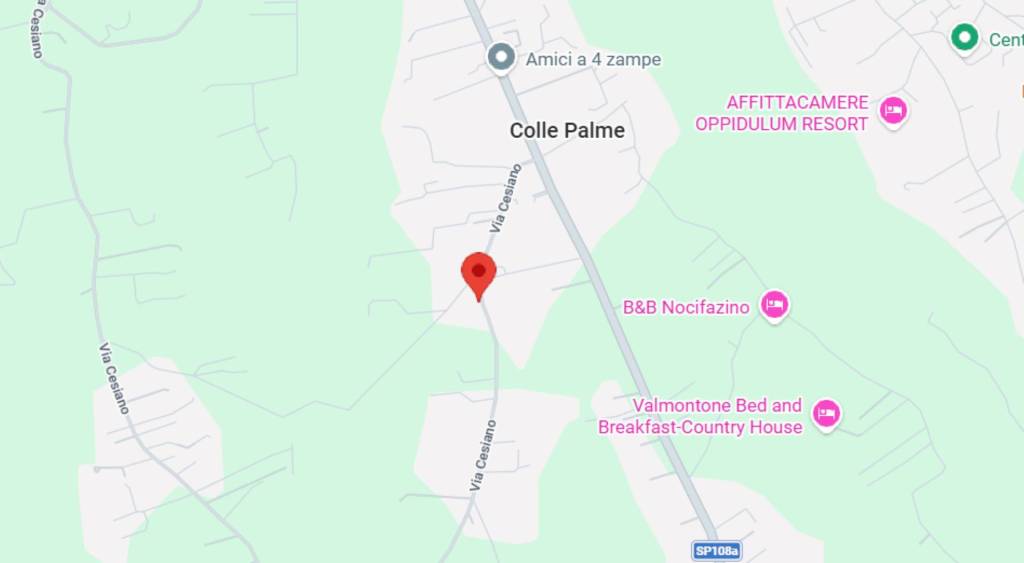 immagine annuncio 1 di 10