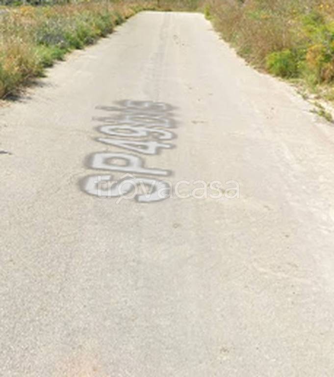 immagine annuncio 8 di 11