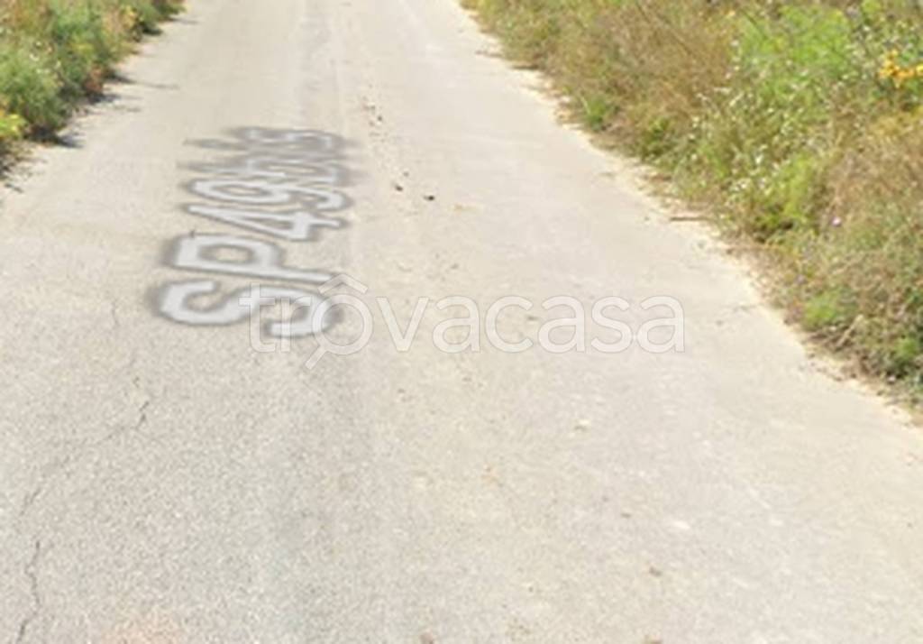 immagine annuncio 10 di 11