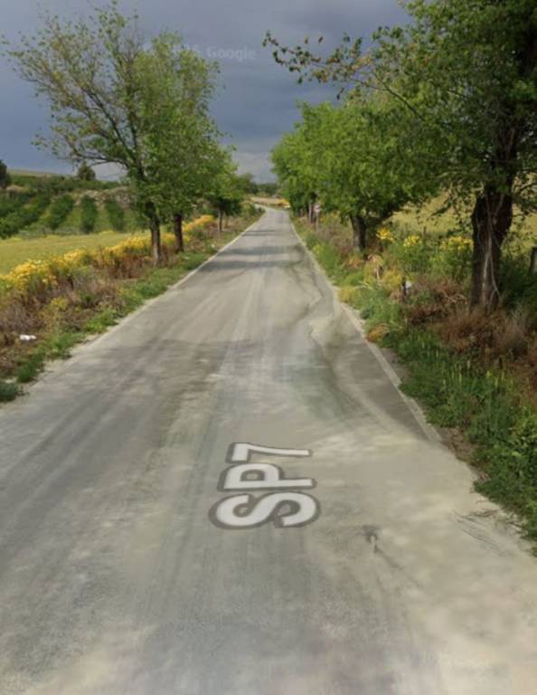 immagine annuncio 5 di 13