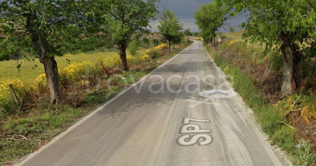 immagine annuncio 7 di 13