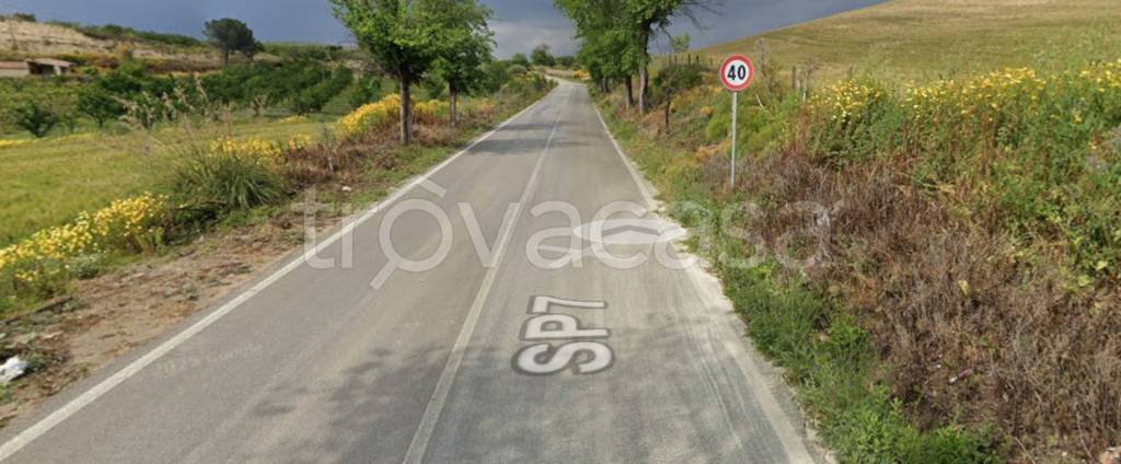 immagine annuncio 9 di 13