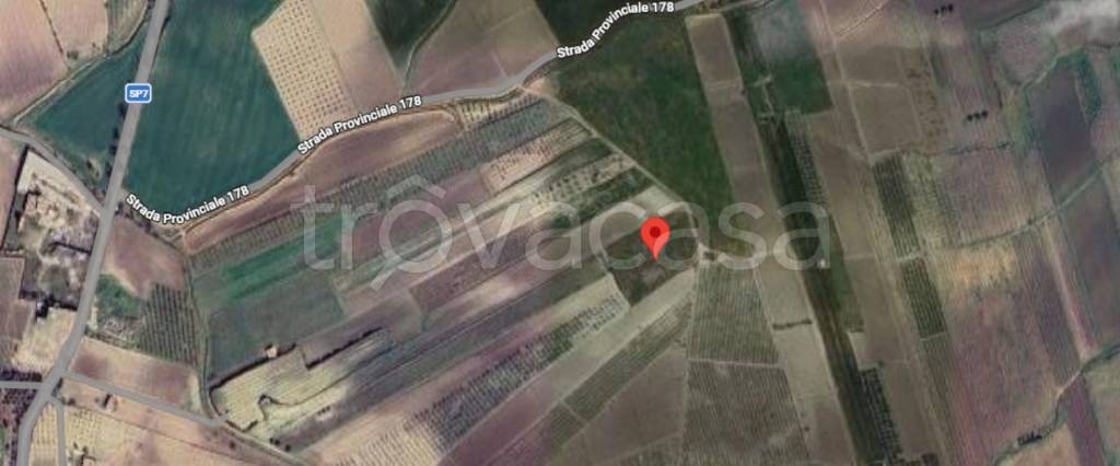 immagine annuncio 12 di 13