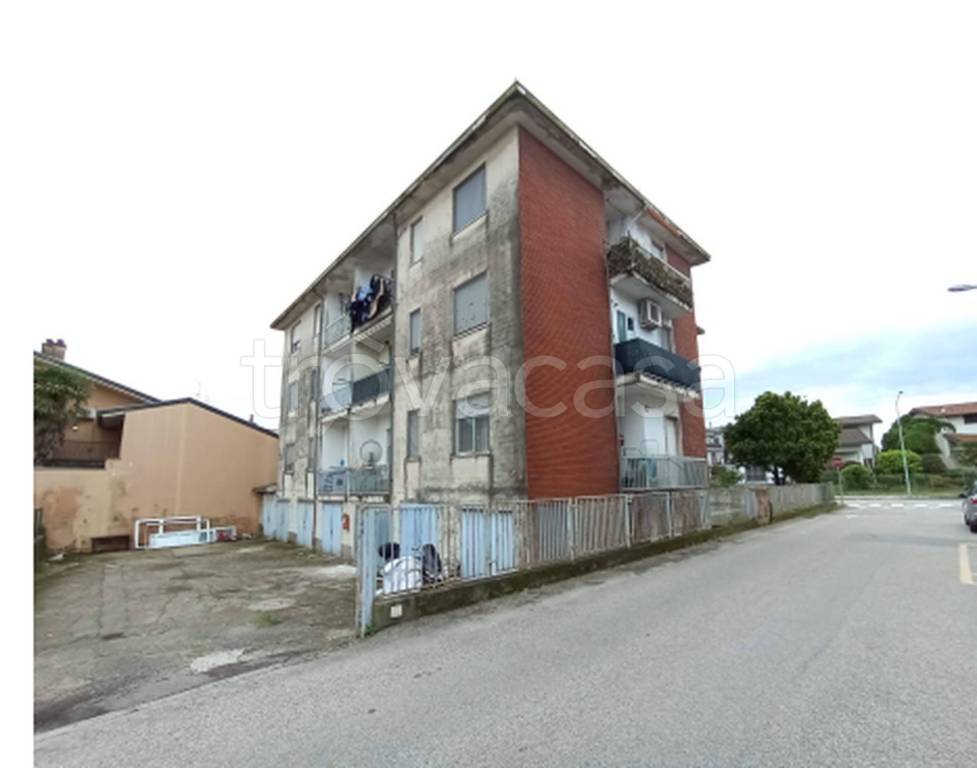 immagine annuncio 2 di 12