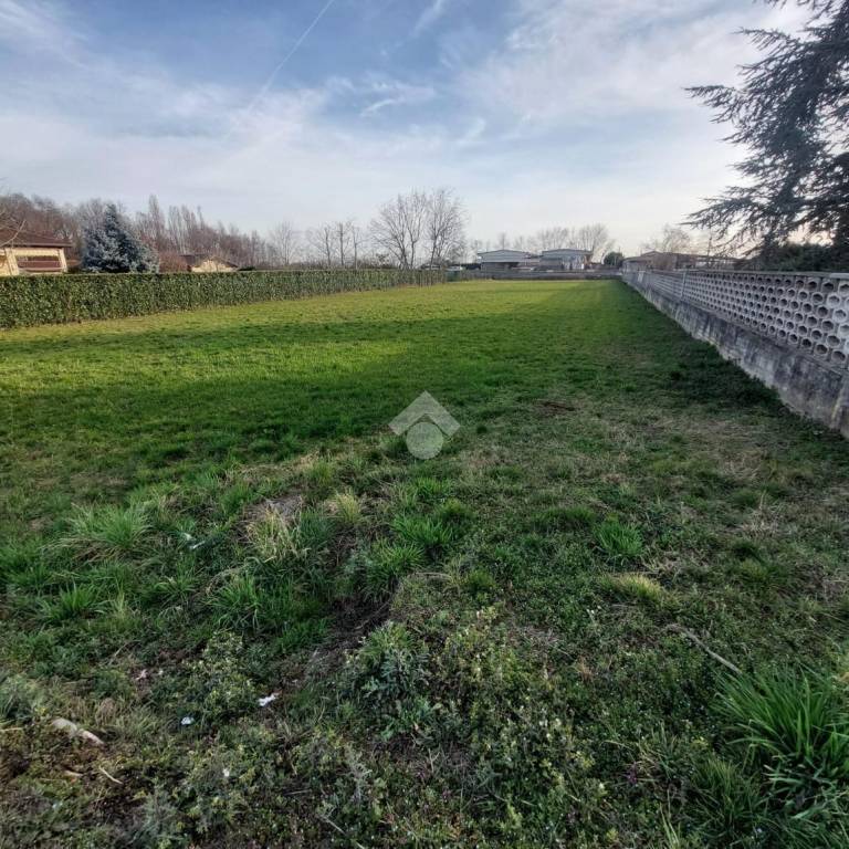 immagine annuncio 5 di 9