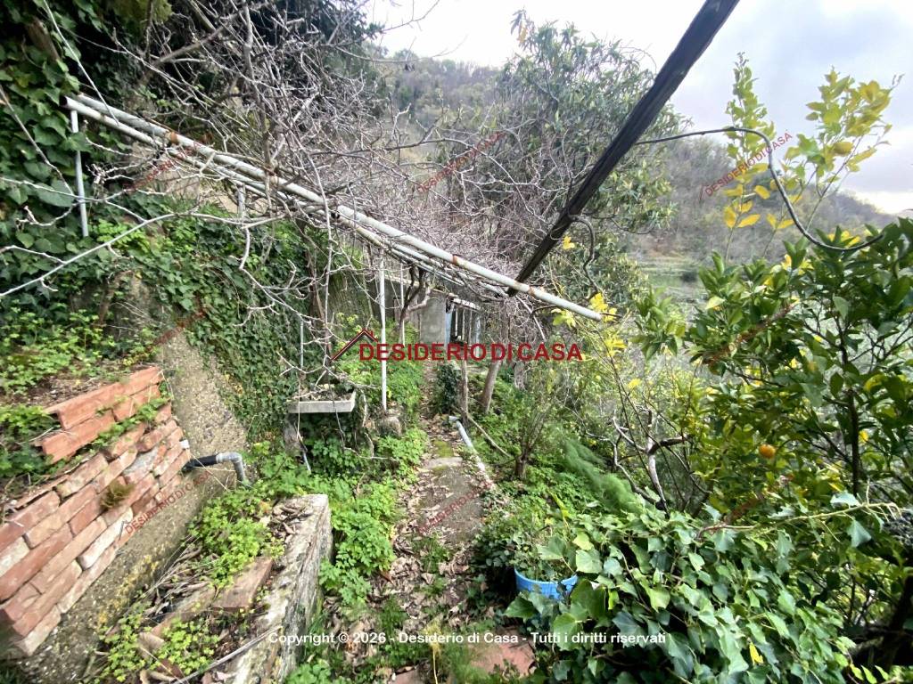 immagine annuncio 4 di 6