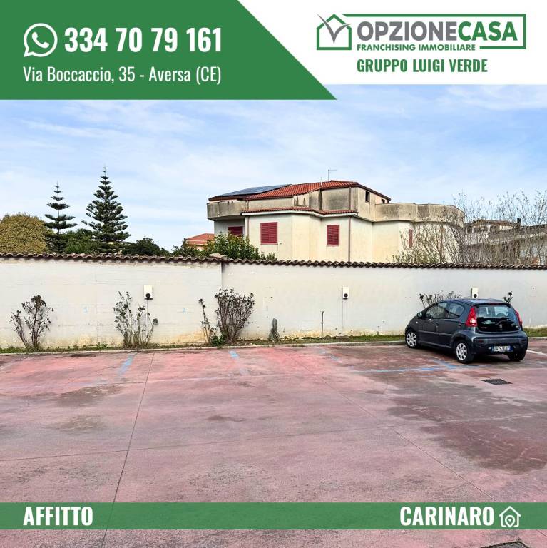 immagine annuncio 11 di 14