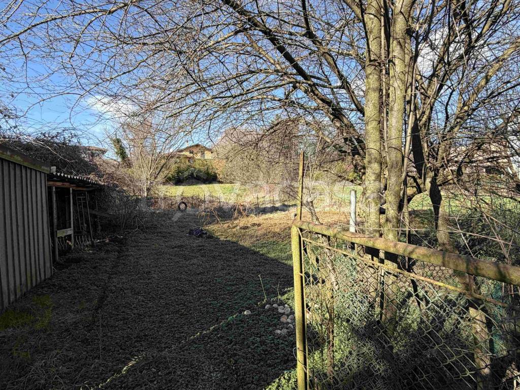 immagine annuncio 5 di 15