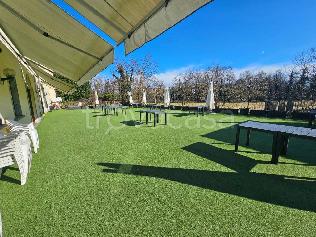 immagine annuncio 12 di 15