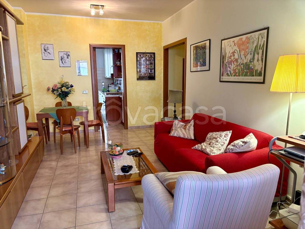 immagine annuncio 7 di 15