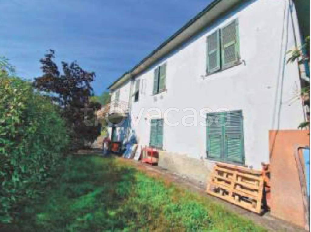 immagine annuncio 11 di 14