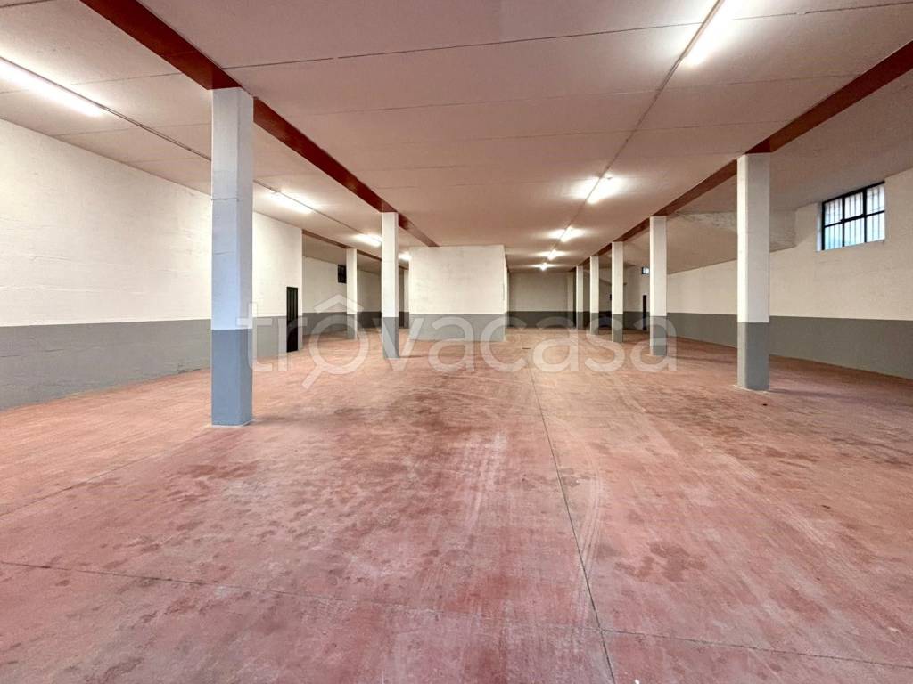 immagine annuncio 2 di 8