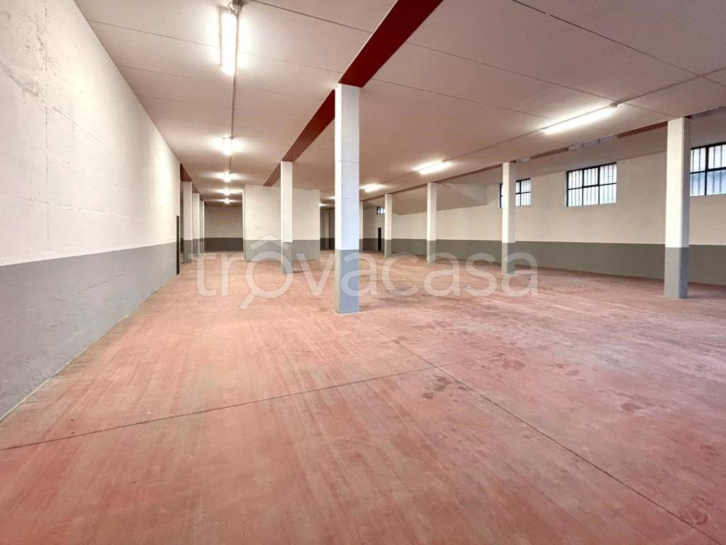 immagine annuncio 4 di 8