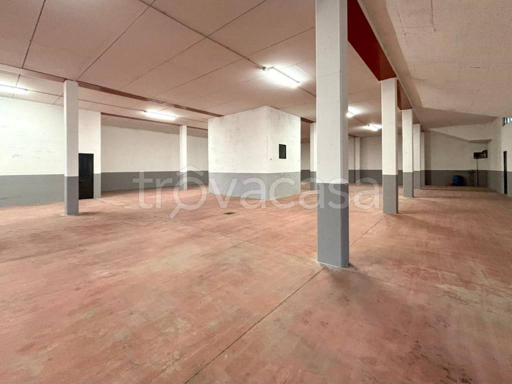 immagine annuncio 5 di 8