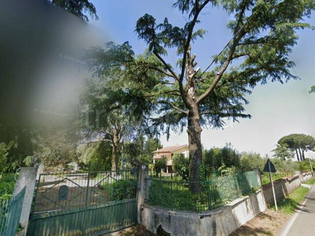 immagine annuncio 12 di 13