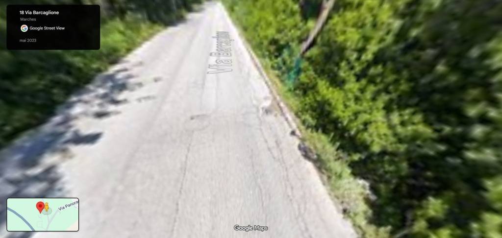 immagine annuncio 3 di 11