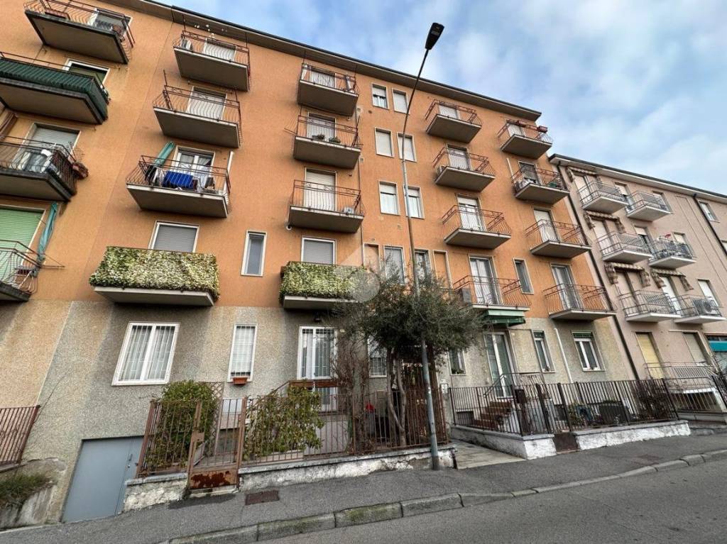 immagine annuncio 12 di 14