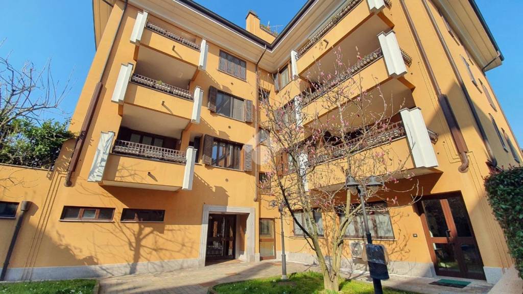 immagine annuncio 1 di 15