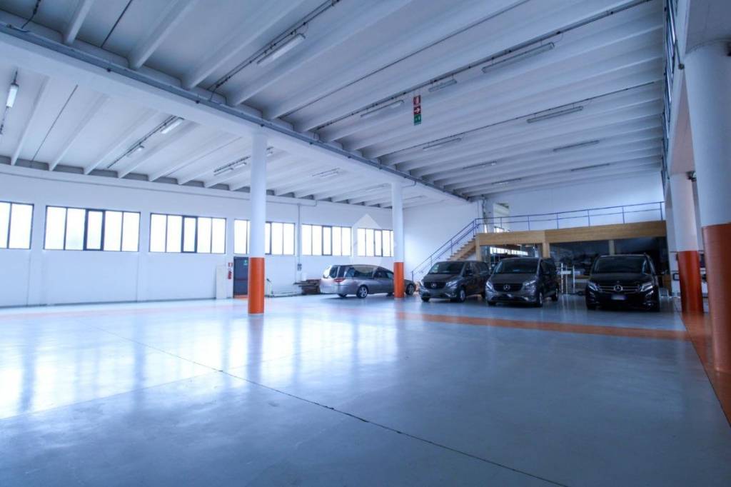 immagine annuncio 2 di 15