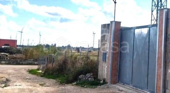 immagine annuncio 10 di 12