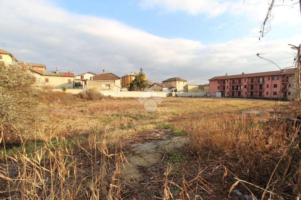 immagine annuncio 7 di 14