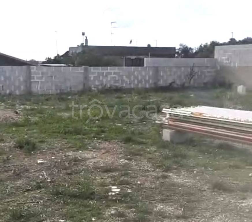 immagine annuncio 3 di 12