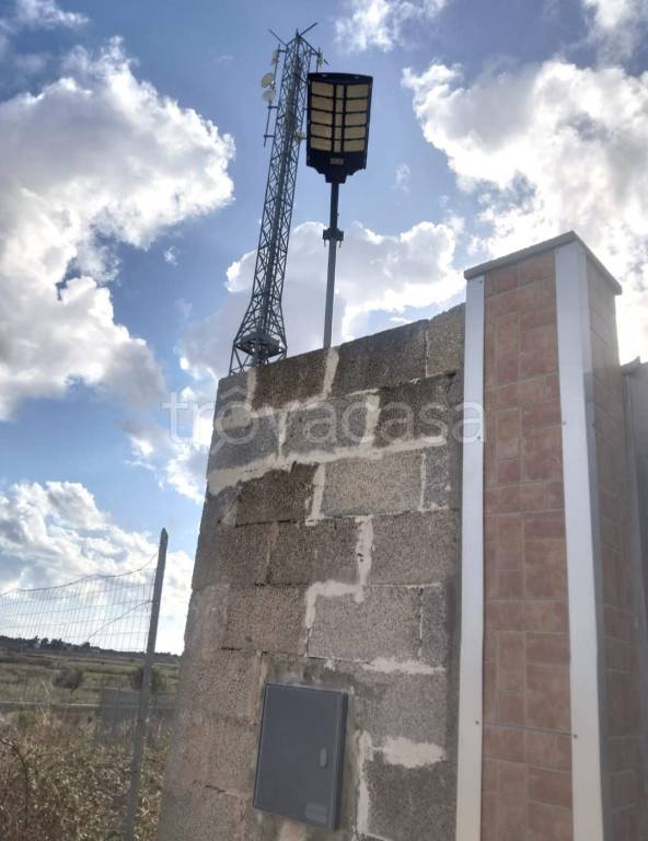 immagine annuncio 9 di 12