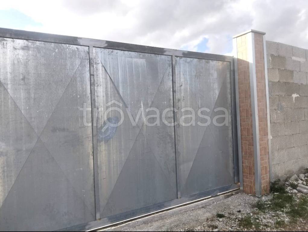 immagine annuncio 11 di 12