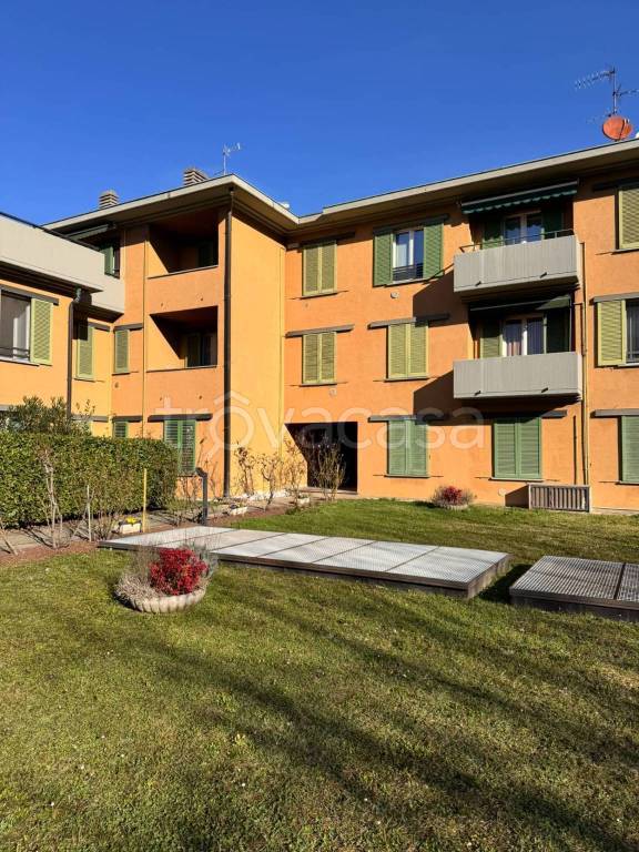 immagine annuncio 9 di 12