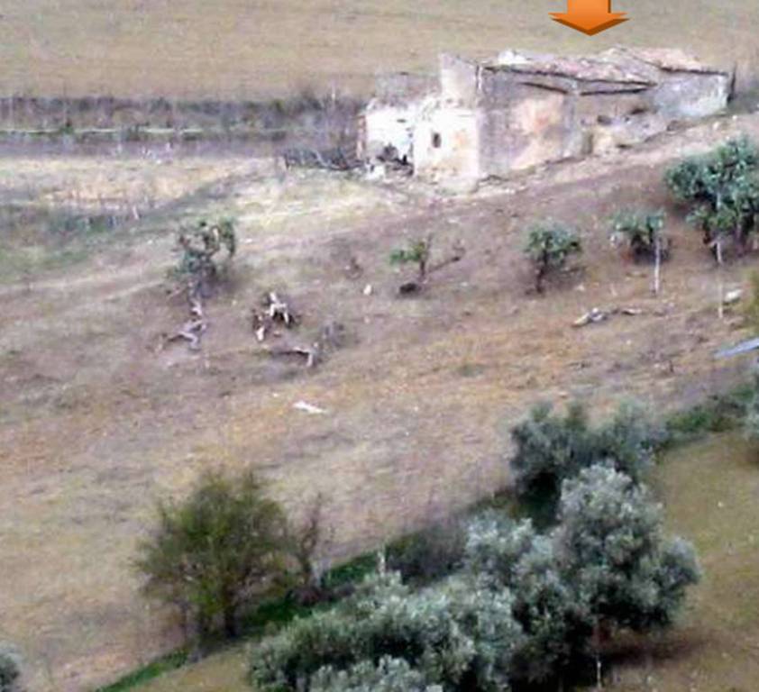 immagine annuncio 5 di 13