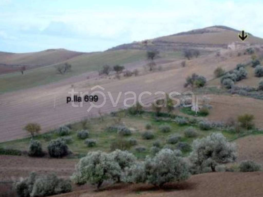 immagine annuncio 7 di 13