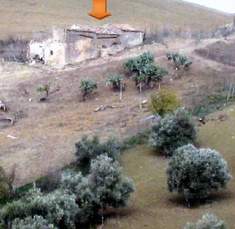 immagine annuncio 10 di 13