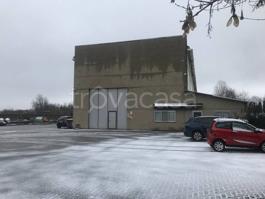 immagine annuncio 3 di 15