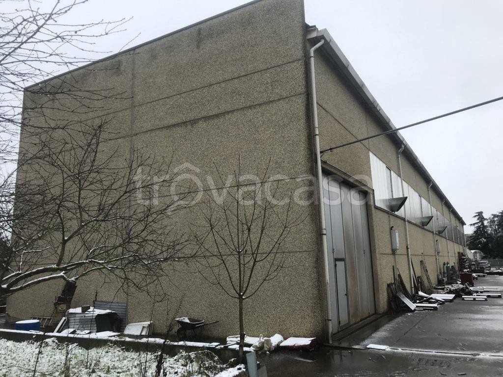 immagine annuncio 8 di 15