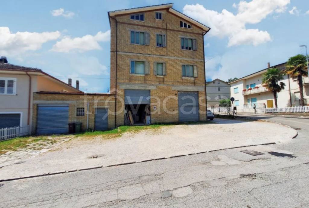 immagine annuncio 6 di 11