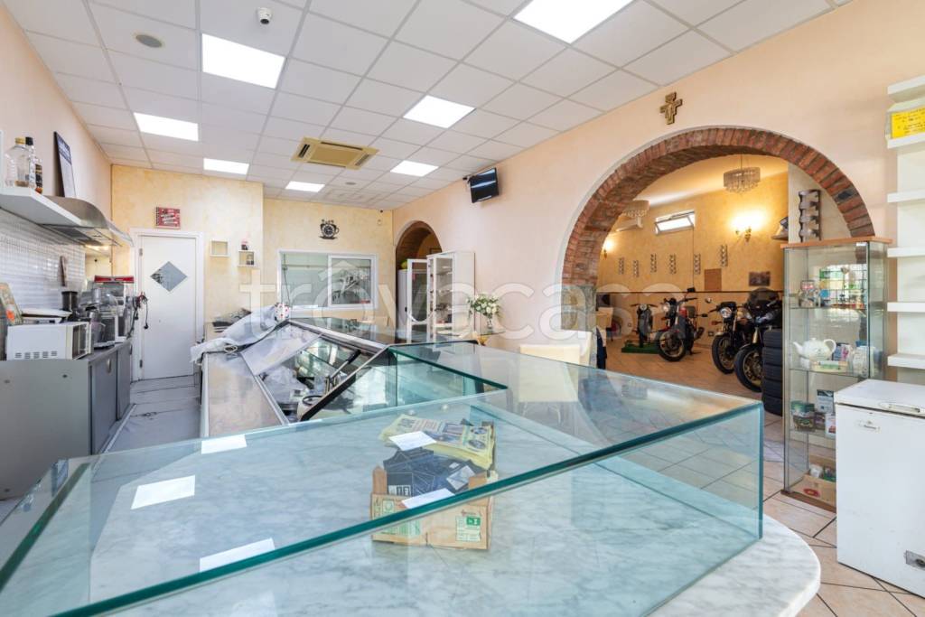 immagine annuncio 5 di 14