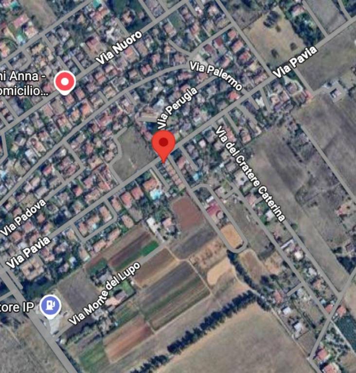 immagine annuncio 10 di 12