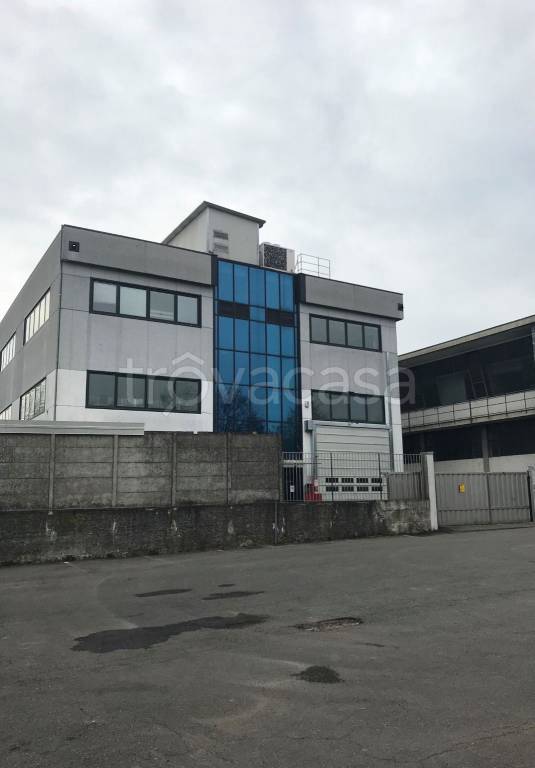 immagine annuncio 5 di 15