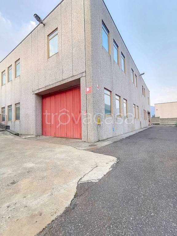 immagine annuncio 2 di 14