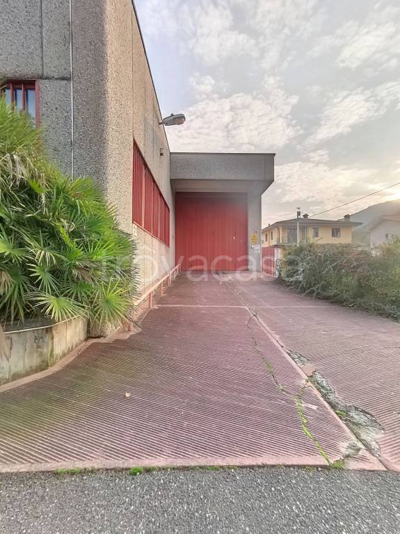 immagine annuncio 3 di 14