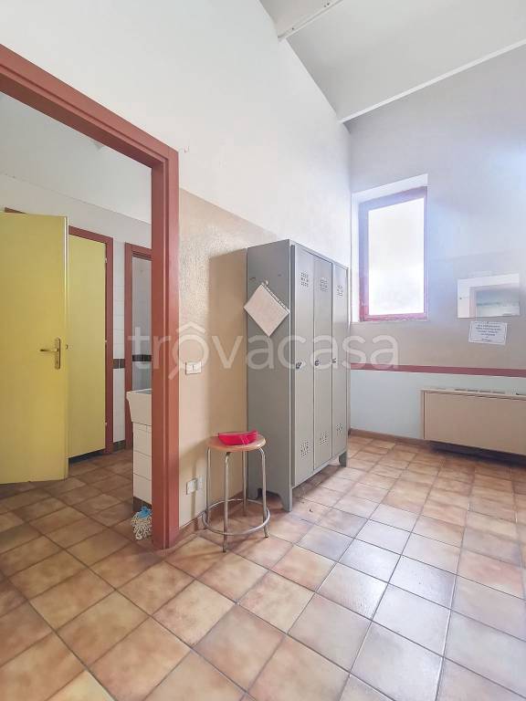 immagine annuncio 6 di 14