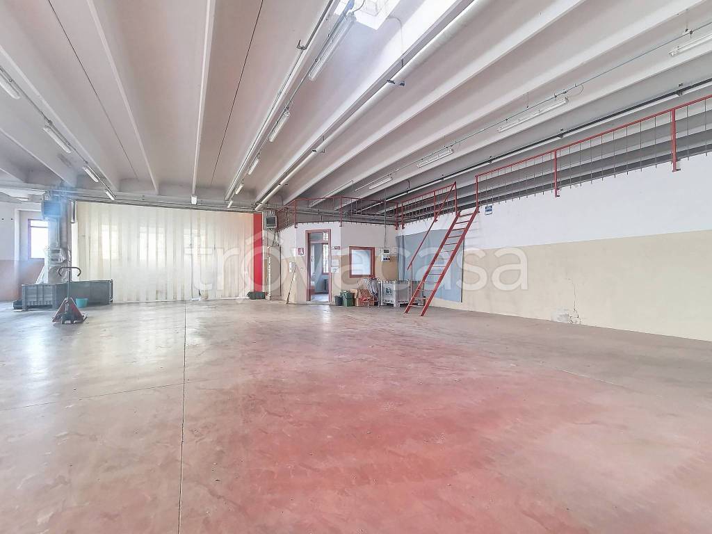 immagine annuncio 7 di 14