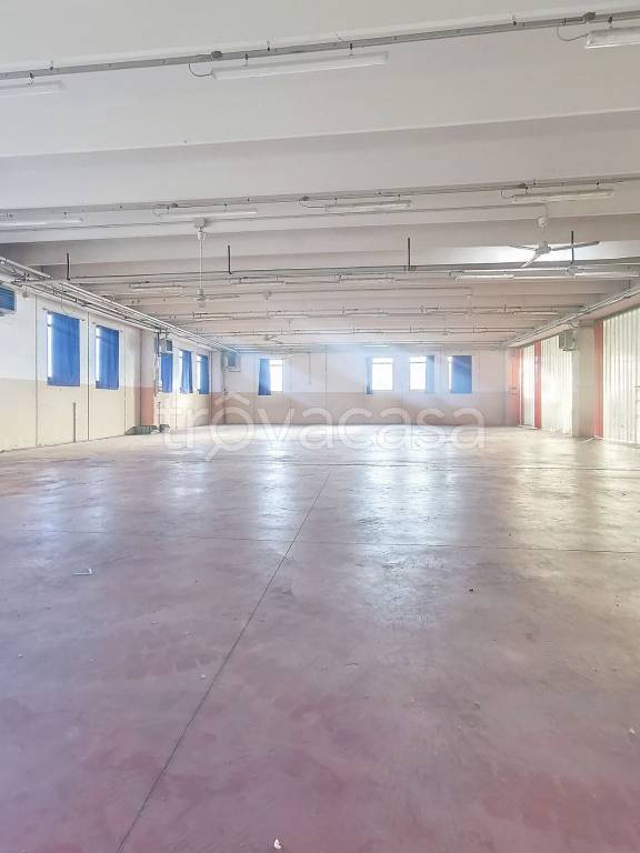 immagine annuncio 12 di 14