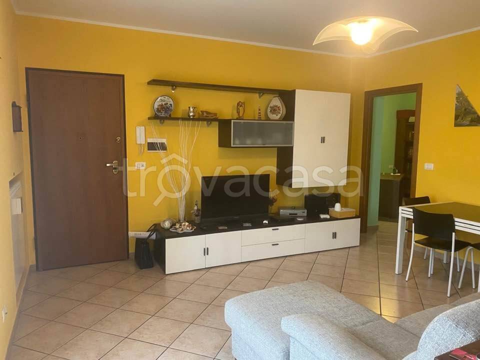 immagine annuncio 1 di 12