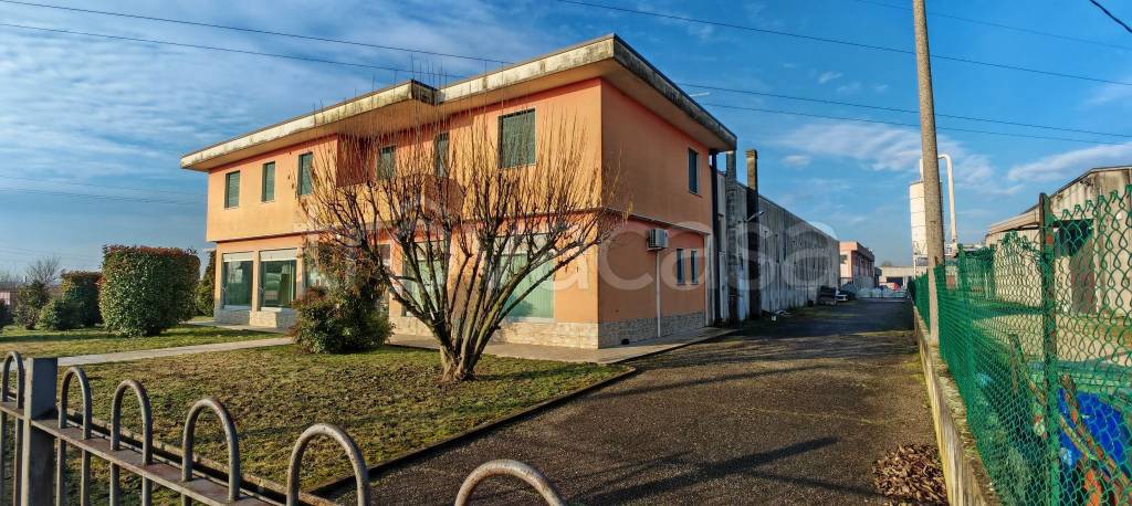 immagine annuncio 1 di 7